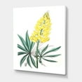 thumbnail image 3 of Designart ' Ancient Yellow Flower I ' Traditional Canvas Wall Art Print, 3 of 4