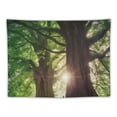 thumbnail image 5 of GOSMITH  Extra Large Wall Tapestry for Bedroom Decoration Nature Forest Tapestry Tree Tapestry Landscape Tapestry Dark Green Tapestry, 40x30 Inch, 5 of 7