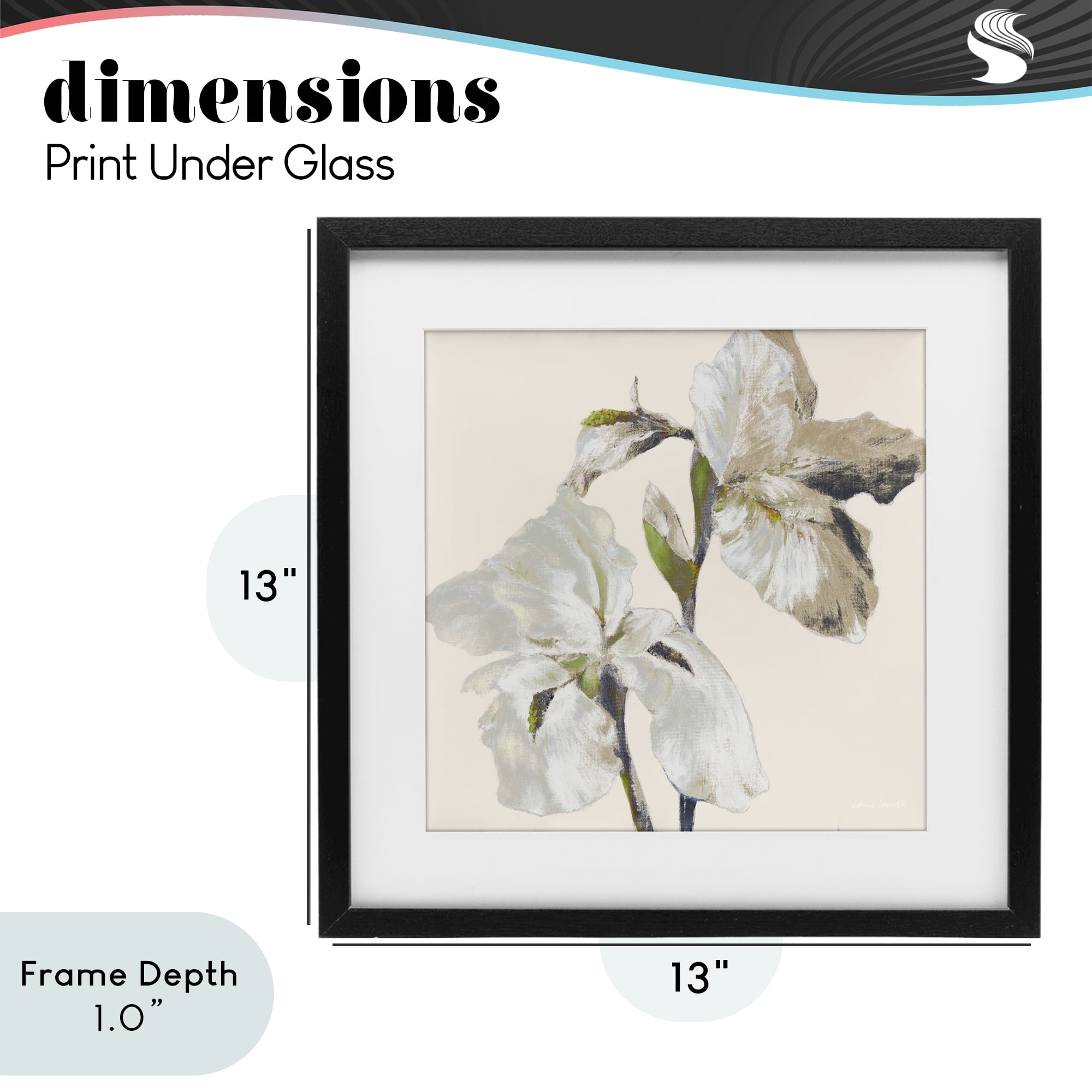 Stupell Industries Irises Soft Beige Black Framed Print Under Glass, design by Lanie Loreth