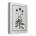 thumbnail image 2 of Soft Botanical II Premium Gallery Wrapped Canvas - Ready to Hang, 2 of 9