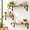 Carbonized Black-Medium, variant on Carbonized Black Medium Solid Wood Floating Wall Shelves Set of 3