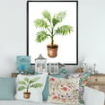 thumbnail image 2 of Designart 'Palm Plant In Clay Flowerpot' Traditional Framed Canvas Wall Art Print, 2 of 5