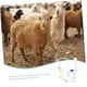 thumbnail image 4 of 1 juego de ordeñadora para ganado vacuno y ovino, suministros agrícolas, equipo agrícola, ordeñadora manual, ordeñadora portátil, extractor de leche manual, 4 of 5