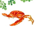 thumbnail image 3 of 1Set Crab Plush Toy Red Stuffed Marine Animal for Kids Home Decoration, 3 of 8