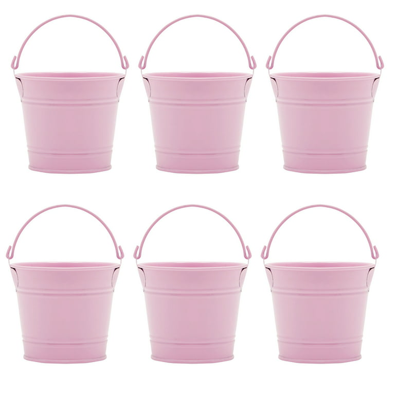 Qtmnekly 12 Pieces Small Bucket with Handle, Cute Mini Fleshy Pot Metal  Craft Composite Section Gift 