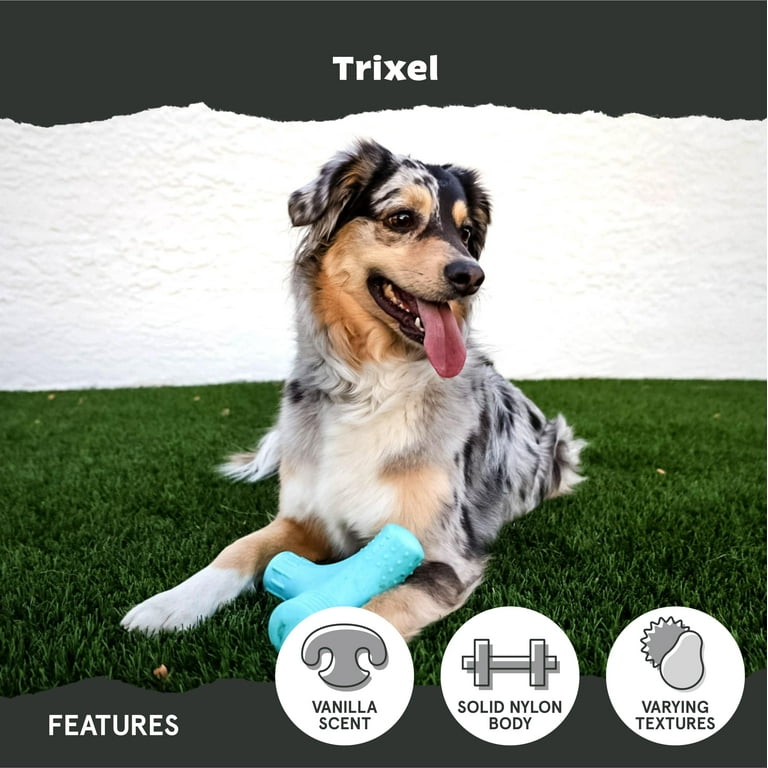 BARK Trixel Extra Large Super Chewer Nylon Dog Toy, Tough Chew