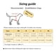 thumbnail image 2 of Premium Pet Harness and Leash Set - Perfect for Small and Medium Dogs Walking and Traveling!, 2 of 4