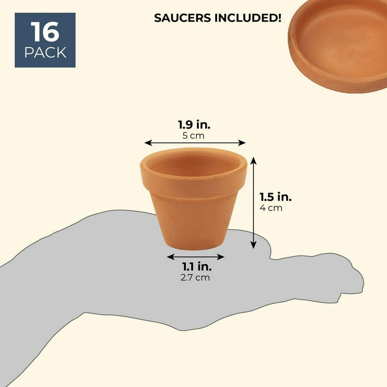 12-Pack Terra Cotta Pots with Saucer, Mini Small Terracotta Flower Clay Pots Planters with Saucer Ceramic Pottery Nursery Indoor Outdoor Gardening for Cacti & Succulent Plants, Brown 2.7 x 2.5 inches 12-Pack Terra Cotta Pots with Saucer, Mini Small Terracotta Flower Clay Pots Planters with Saucer Ceramic Pottery Nursery Indoor Outdoor Gardening for Cacti & Succulent Plants, Brown 2.7 x 2.5 inches