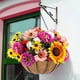 thumbnail image 5 of macetas colgantes de metal con forro de fibra de coco, cesta colgante de alambre redondo de 12 pulgadas con cadena, decoración de porche, macetas, decoración de jardín, riego interior y exterior JFHHH pequeña, 5 of 5