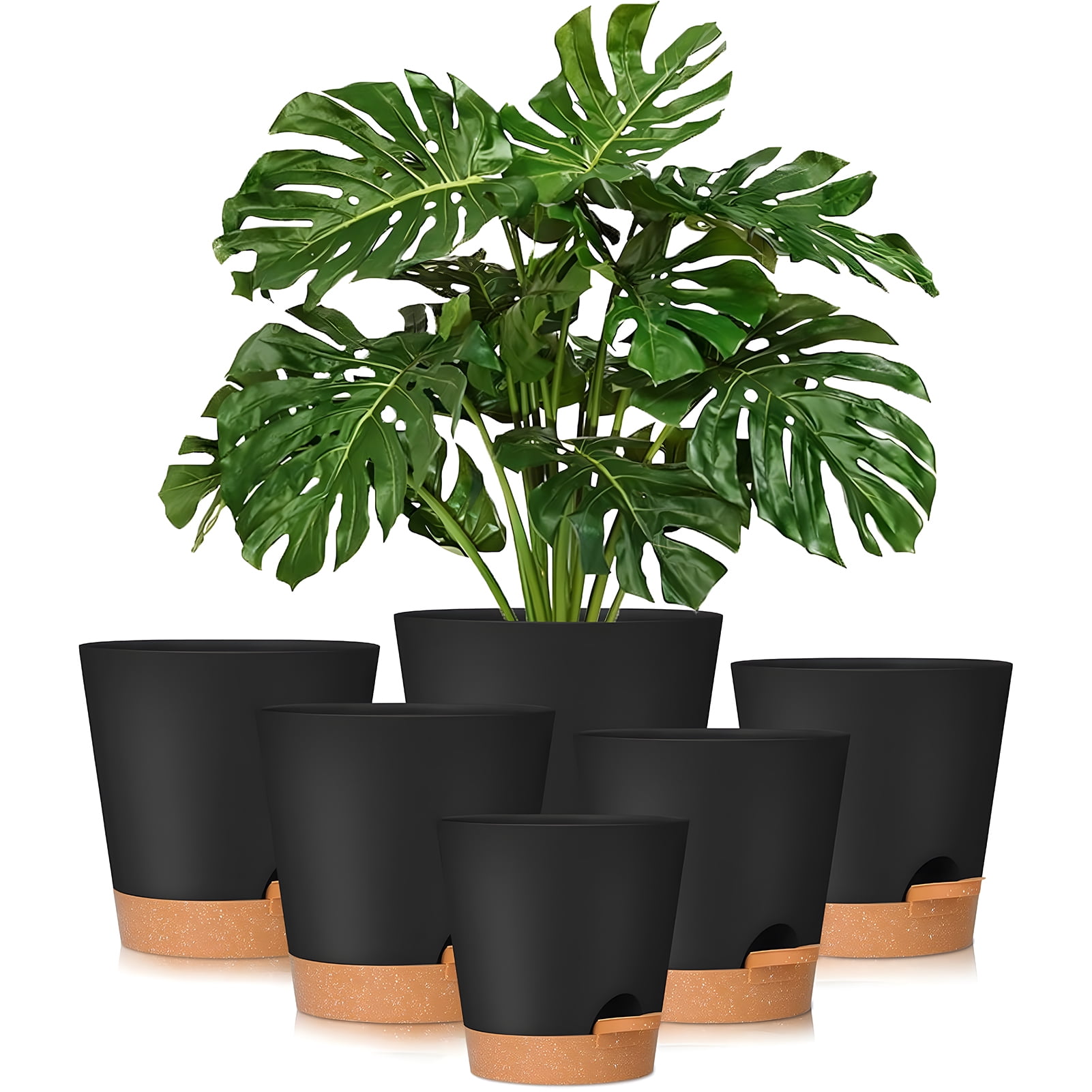 West Bay 6-Pack Self-Watering Plant Pots with Drainage, Black photo 1