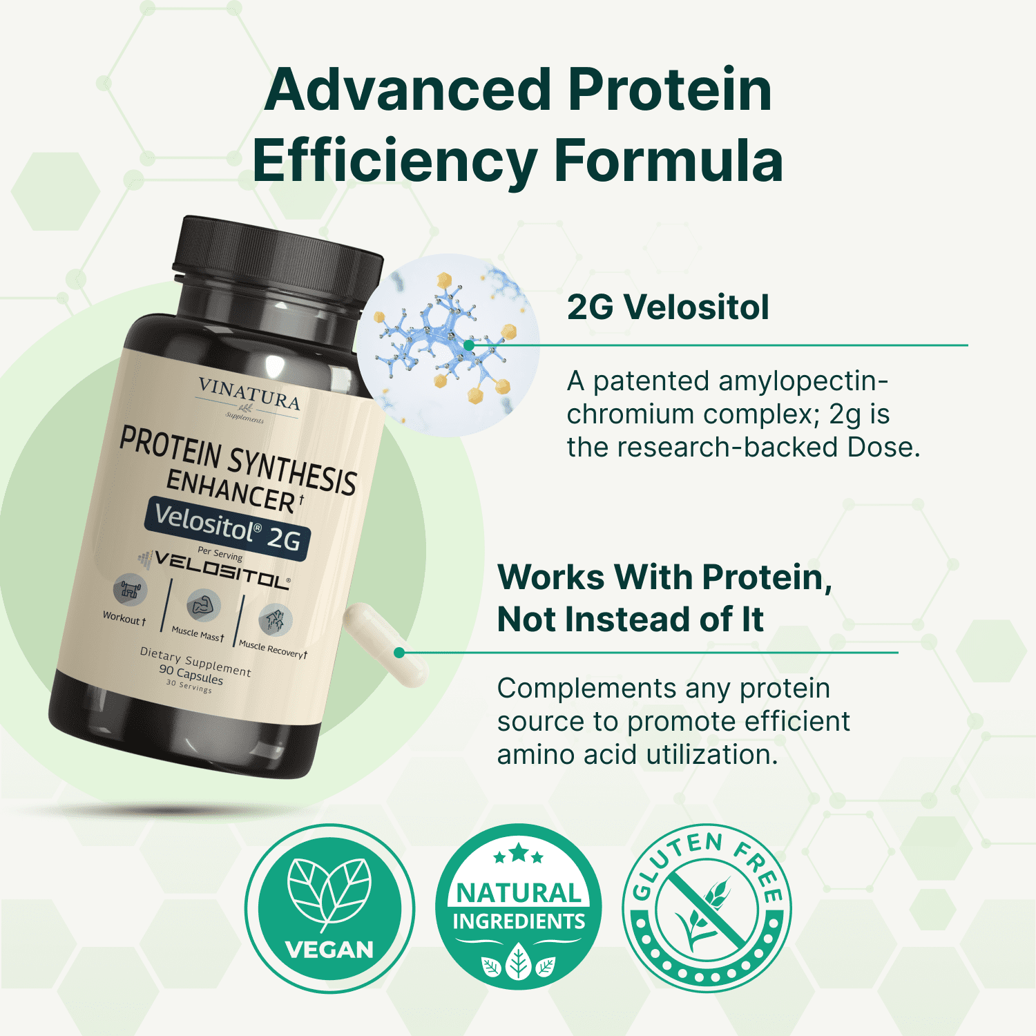 Vinatura Velositol Supplements - Protein Synthesis Enhancer for Strength and Muscle Support, for Men and Women, 90 Capsules