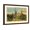 Brown Frame, variant on Art.com Camelback Mountain, Saguaros, Arizona Art Print, 18" x 12"