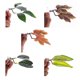 thumbnail image 1 of Hamaca de hojas para peces Betta, cama de hojas, accesorios para acuarios, decoración ι ]▲ J3P9, 1 of 5