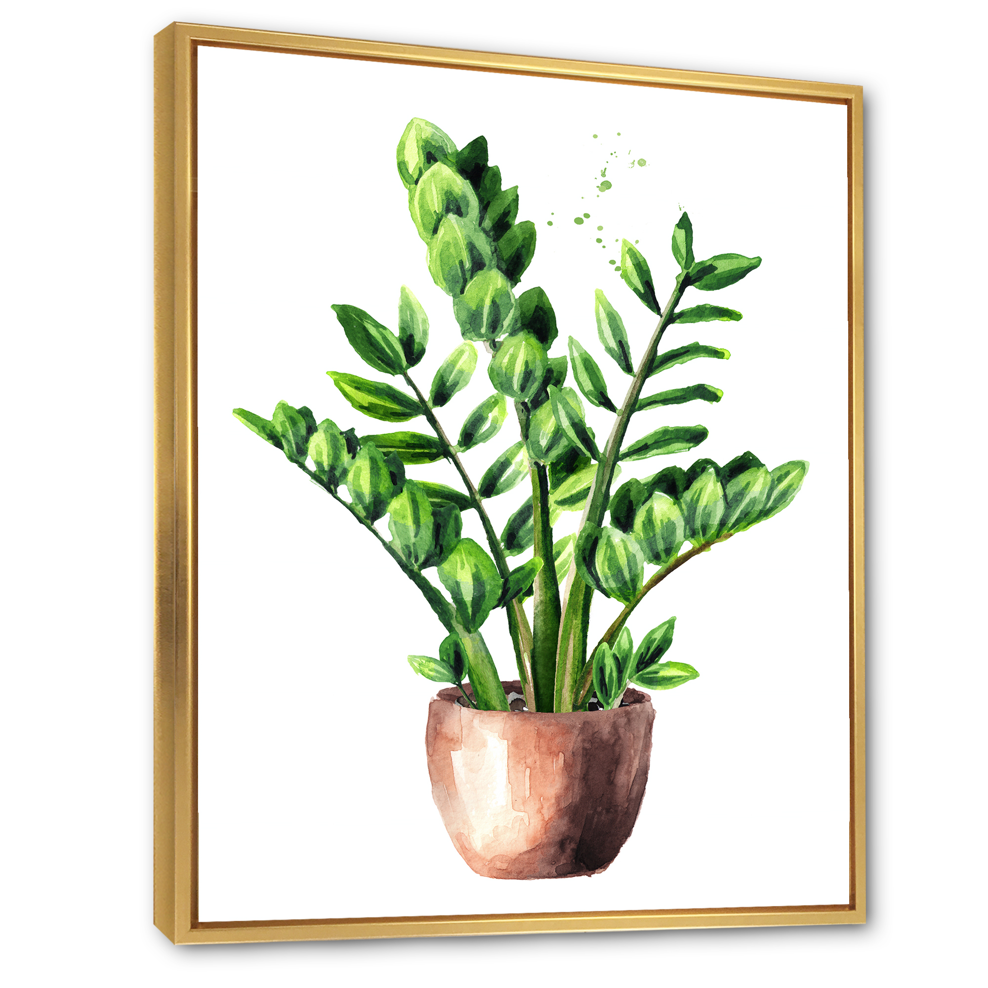 Designart 'Zamioculcas Tropical Plant With Green Leaves On White' Traditional Framed Canvas Wall Art Print