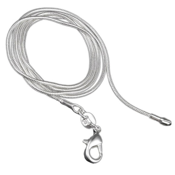 Women Snake Chain Simple Style Necklace Girl simple snake necklace Snake Collarbone Chain Necklace Solid Color Neck Chain Jewelry Gift