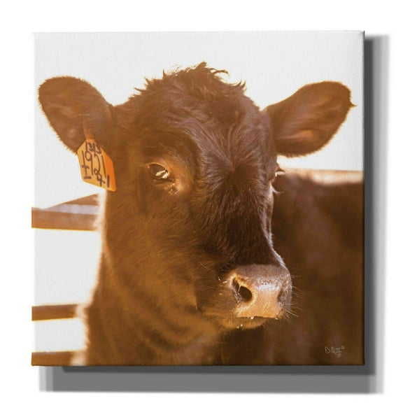Epic Graffiti 'Baby Cow I' by Donnie Quillen, Canvas Wall Art, 26"x26"