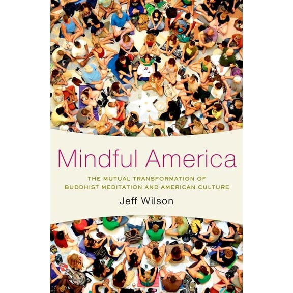 Mindful America: The Mutual Transformation of Buddhist Meditation and American Culture