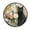 Black Cat and Glass Vase, variant on 36.2 Inch Round Floor Mat A Large Group Of Dogs Carpet Decor Rug for Living Room Bedroom