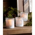 thumbnail image 2 of MELROSE INTERNATIONAL Tree Votive Holder in PVC Box (Set of 12) 3.5"H Glass, 2 of 2