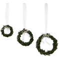 thumbnail image 1 of Preserved Boxwood Preserved Boxwood Wreath with White Ribbon, Set of 3, 1 of 1