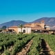 thumbnail image 4 of Vinos el Cielo/Vino Blanco Cassiopea/Sauvignon Blanc/Valle De Guadalupe / 750 Ml., 4 of 7