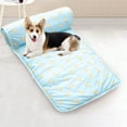 thumbnail image 6 of ​Ice Silk Cooling Pad for Pets & People - Machine Washable Summer Dog Cat Bed Mat with Non-Chew Design, Portable Foldable for Indoor Outdoor Car Travel, 6 of 6