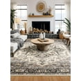thumbnail image 4 of Toyoso 9x12 Area Rug Living Room Rugs -Soft Machine Washable Oriental Vintage Floral Distressed Rug Large Indoor Floor Carpet for Bedroom Under Dining Table Home Office Decor - Grey Brown, 4 of 10