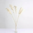 thumbnail image 5 of BalsaCircle White 6 Sprays Stems 32" Natural Pampas Grass Dried Plant Wedding Party, 5 of 8