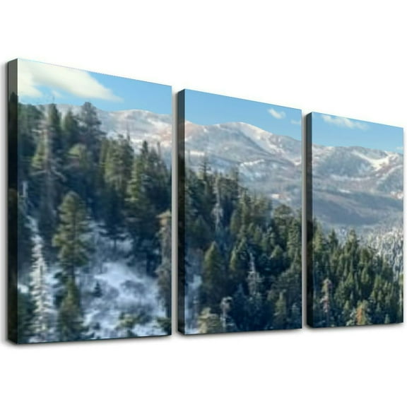 nygtbtfer  4 Panels Canvas paintings - winter landscape romania stock pictures, royalty free photos - Wall Art modern Posters Framed Ready to Hang for Home Wall Decor 12x16x3pcs