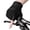Black, variant on INBIKE Half-Finger Bicycle Gloves Unisex MTB Biking Gloves Black