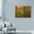 thumbnail image 3 of Trademark Fine Art 'Woodblock Stream I' Canvas Art by Chris Vest, 3 of 4
