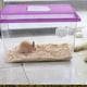 thumbnail image 5 of GOOHOCHY 6 piezas de ventana de pájaro PERCHA PERCHA CUERPAS PIEMAS PIEMAS PERRO PLATUTLE TORTUTL, 5 of 8