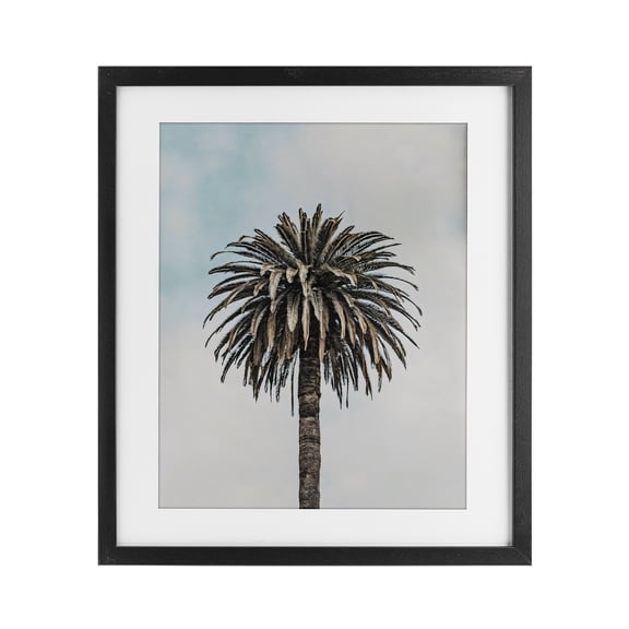 Stupell Industries Coastal Centric Elegant Palm Black Framed Print Under Glass, 13 x 16, by LSR Design Studio
