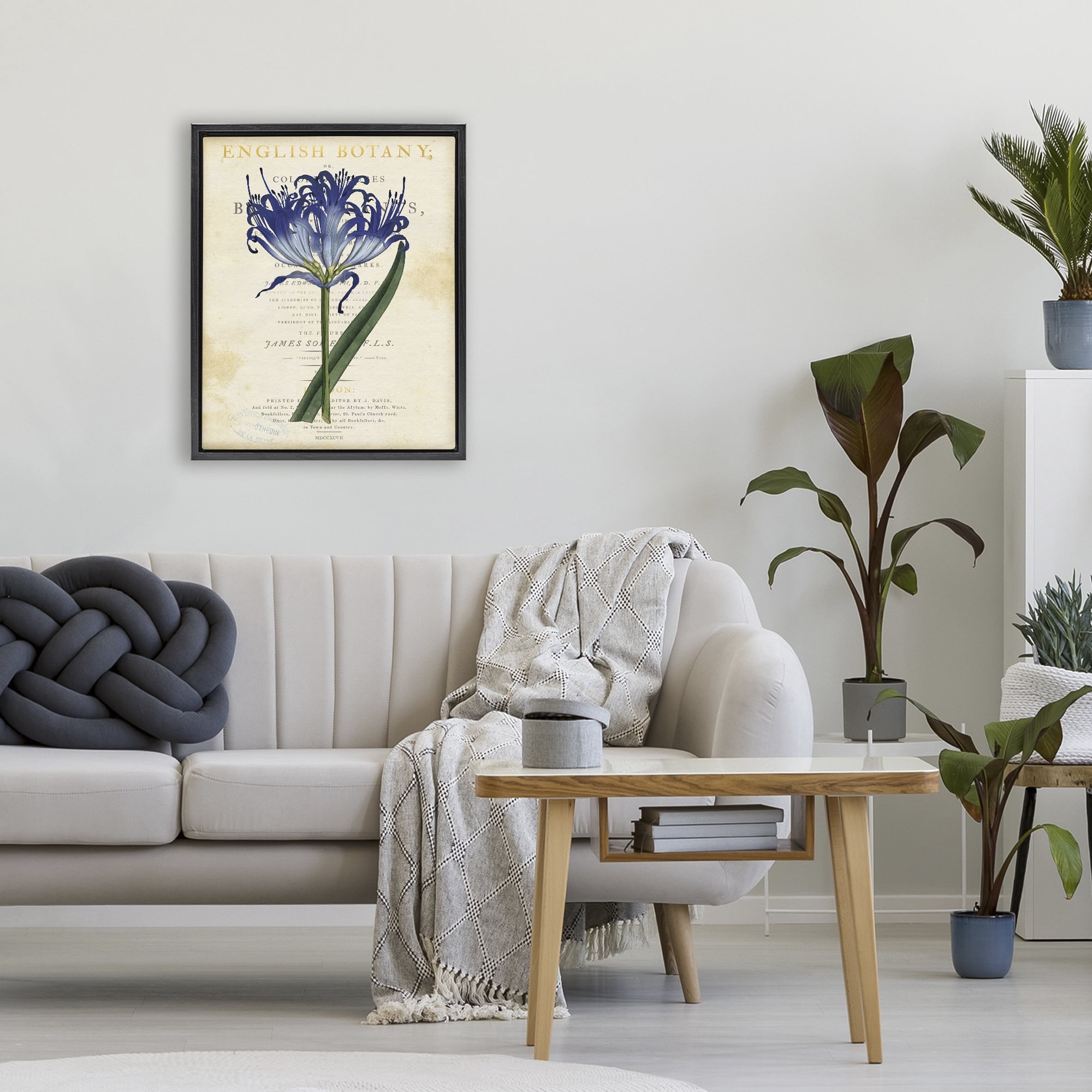 Stupell Industries English Botany Blue Floral Black Framed Floater Canvas Wall Art, design by Susan Arnot