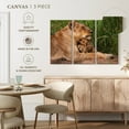 thumbnail image 5 of Elephant Stock Motherly Lioness Wall Art - Horizontal Multi Panel Canvas - Living Room Wall Decor - Animal Multi Panel - Beige And Brown Decor - 45" x 28", 5 of 8