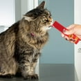 Beefeaters Lickables Salmon Puree Recipe Cat Treat, Lickable Squeezable