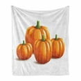 thumbnail image 1 of Autumn Pumpkin Soft Flannel Fleece Throw Blanket, Bunch of Fall Season Thanksgiving Fruits Drawing, Cozy Plush for Indoor and Outdoor Use, 60" x 80", Burnt Orange Olive Green, by Ambesonne, 1 of 6