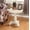White#5, variant on 26" Round Gray Wood Pedestal Side Table with Scrolled Legs, Traditional End Table for Living Room