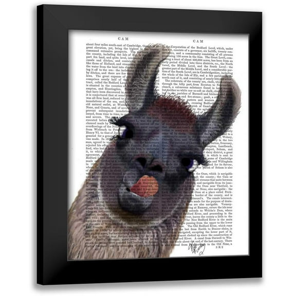 Fab Funky 12x14 Black Modern Framed Museum Art Print Titled - Silly Llama