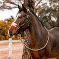 thumbnail image 6 of Horze Trixi Pony Soft Fleece Halter, 6 of 7