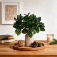 thumbnail image 2 of 12 Inch Artificial Plant Indoor,Small Fake Plants Eucalyptus Stems With Vase,Faux Greenery In Pot For Farmhouse Home Decor,Bathroom Living Room Kitchen Office Coffee Table Centerpiece (cream white), 2 of 4