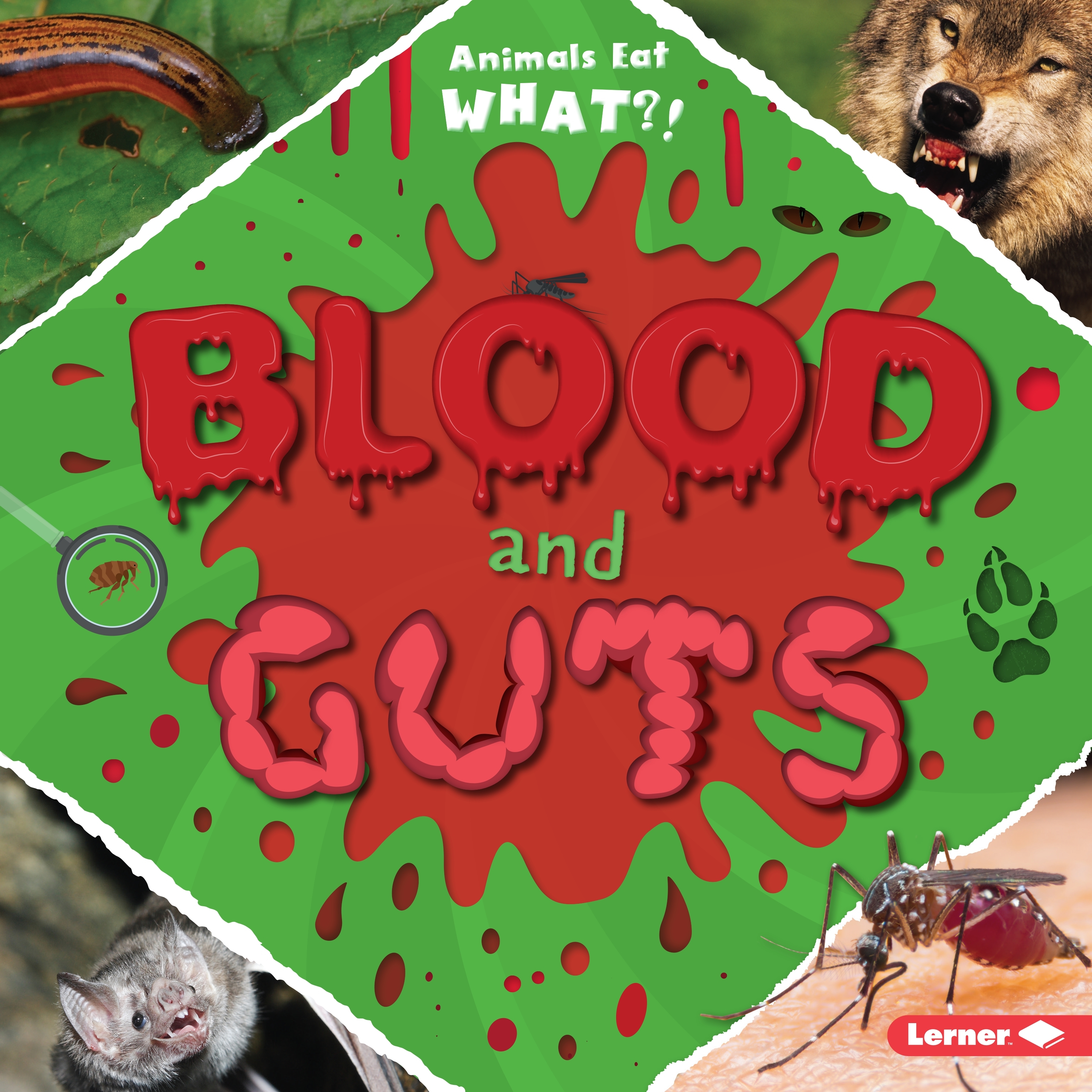 Animals Eat What? Blood and Guts (Hardcover)