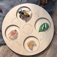 thumbnail image 1 of Montessori Animal Growth Cycle Educational Open-ended Toy Animals SLife Cycle Board Set Lifestyle Stages Kids Teaching Tools heqiyong LED, 1 of 2