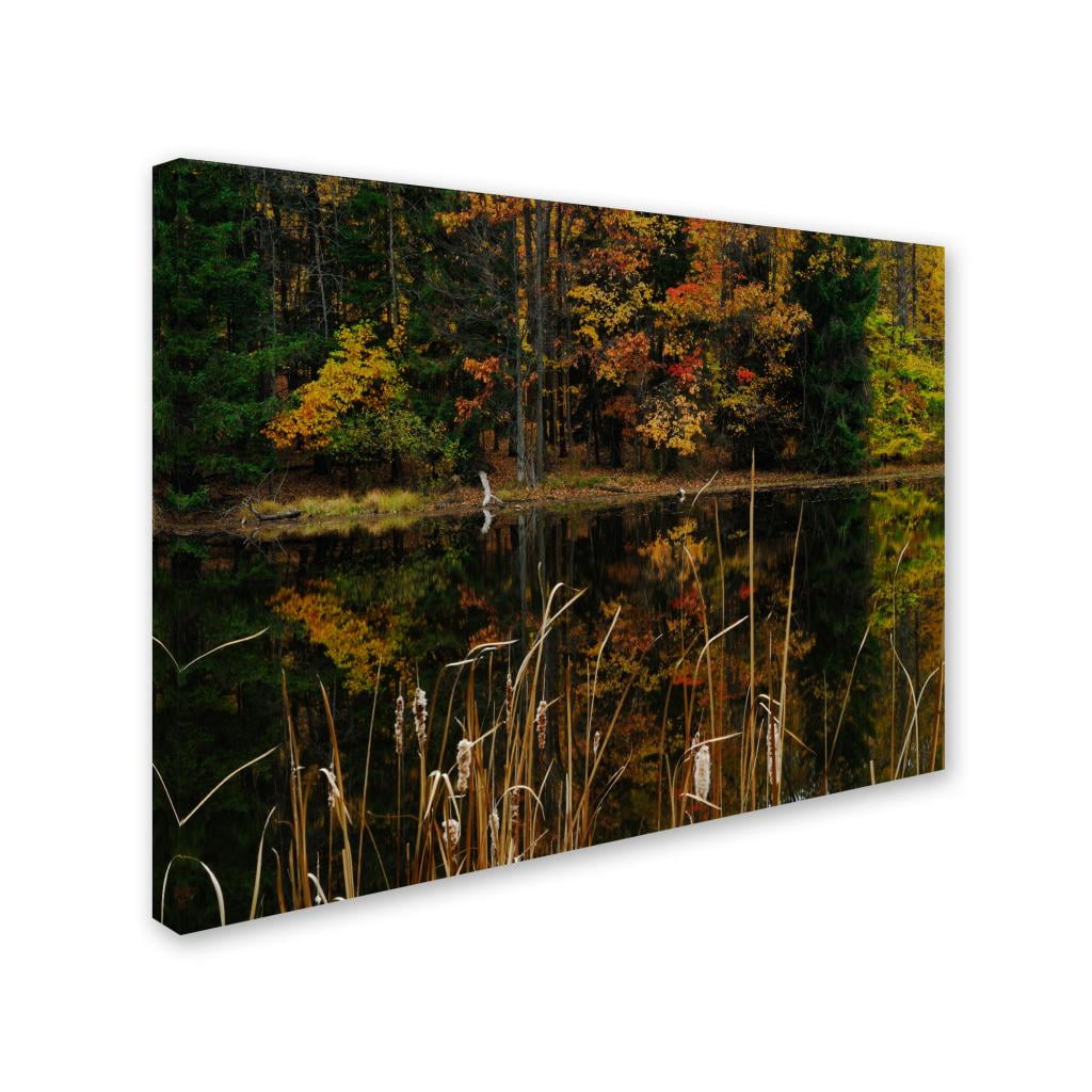 Trademark Fine Art "Beautiful Memory" Canvas Wall Art by Kurt Shaffer