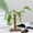 š„ Multicolor_Base#3323, variant on Glass Planter Bulb Vase with Wooden Stand | Desktop Hydroponics Terrarium | Vintage Rectangular DIY Decoration | Clear Glass | 19.5x13cm | Home Office Decor