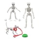 thumbnail image 5 of XWSHYW Juguetes para Niños Pequeños Nuevo Esqueleto Móvil Extraño y Divertido, Modelo Humano, Esqueleto, Cuerpo Completo, Minimuñeca de Juguete, 3 Uds., 5 of 6