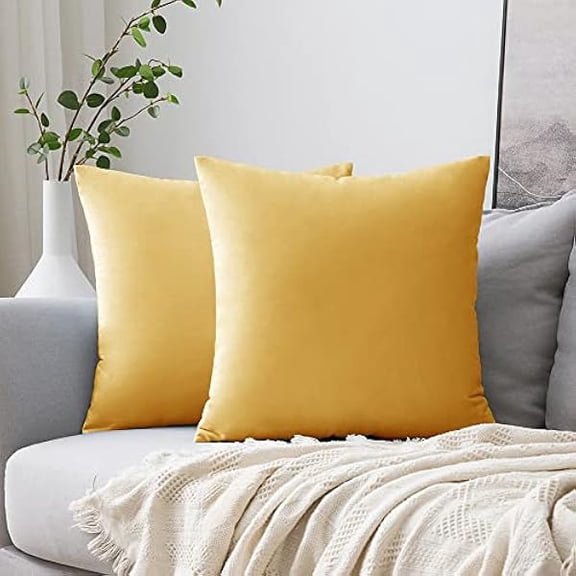 Eryueer Velvet Cushion Covers Soft Decorative Square Throw Pillow Case Pillowcases for Livingroom Sofa Bedroom with Invisible Zipper 18"x18" 45cm x 45cm 2 Pieces Ginger Yellow