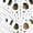 Winter White, variant on Scoop Women’s and Women's Plus Crochet Sweater Tank Top with Sweetheart Neck, Sizes XS-4X