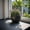 Black, variant on LeisureMod Grove Mid-Century Modern Fiberstone and Clay Planter - Round Plant Pot with Drainage Holes for Indoor and Outdoor Home (Aged Concrete, 8" Height)