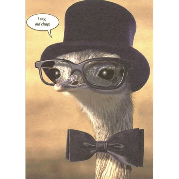 Designer Greetings Ostrich Wearing Black Glasses, Top Hat and Bow Tie Funny / Humorous Masculine Birthday Card for Him : Man : Men